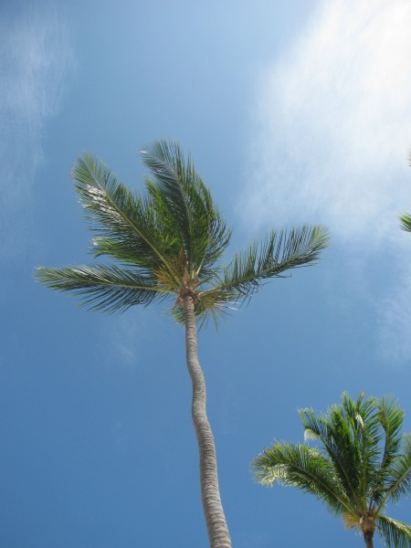 Dominican Republic 412.jpg